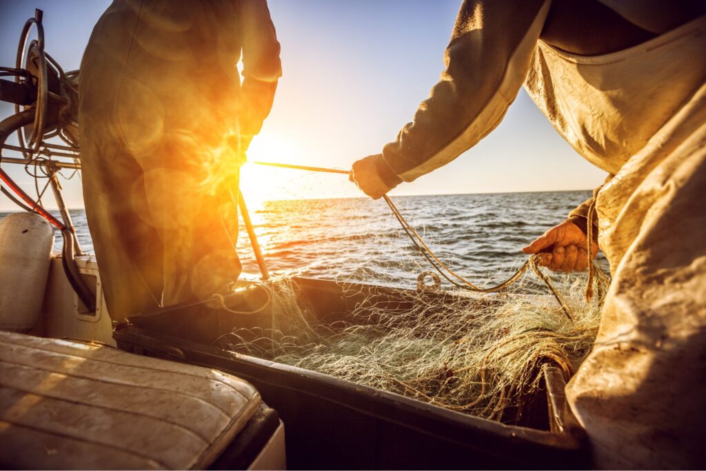 Sustainable Sushi Japan's fishing communities harvest ocean resources sustainably at dawn
