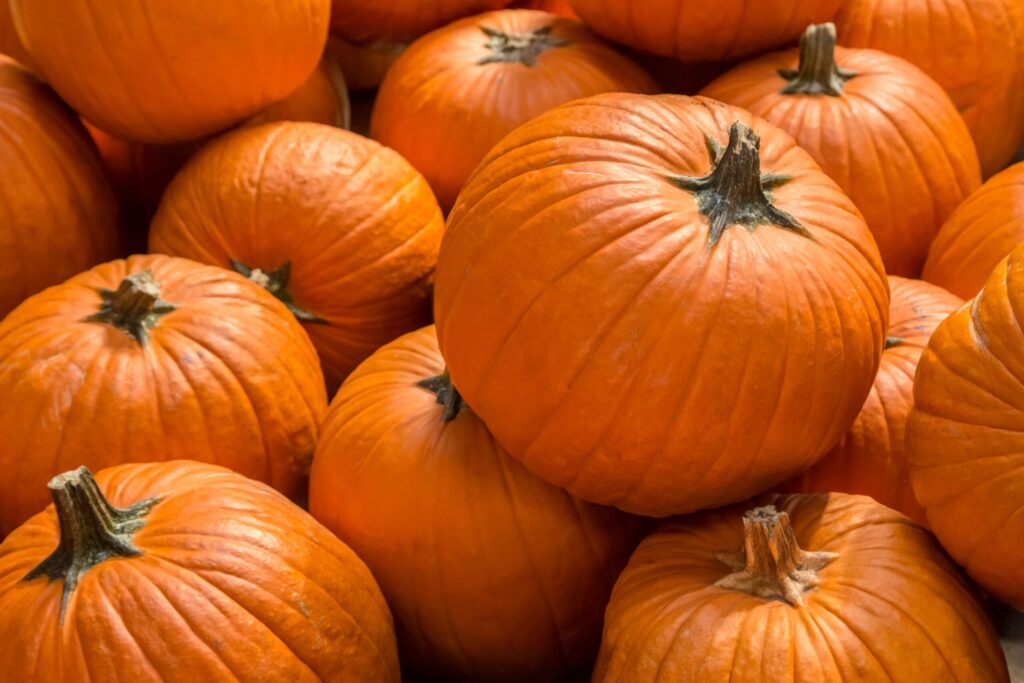 sugar pumpkins