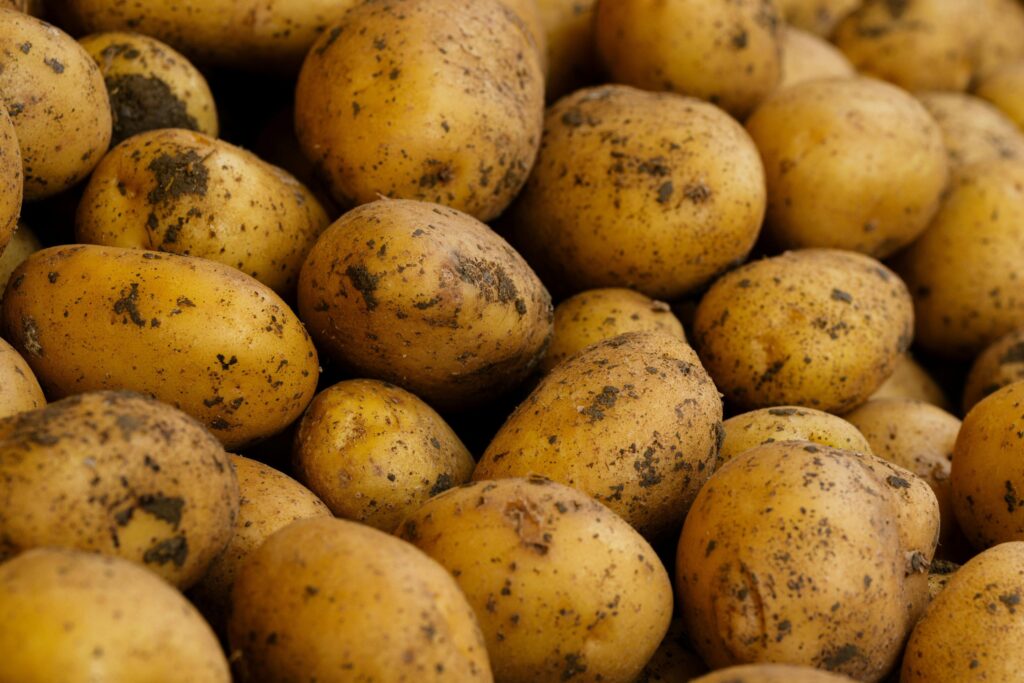batatas bintjes para batatas fritas belgas revista gusto