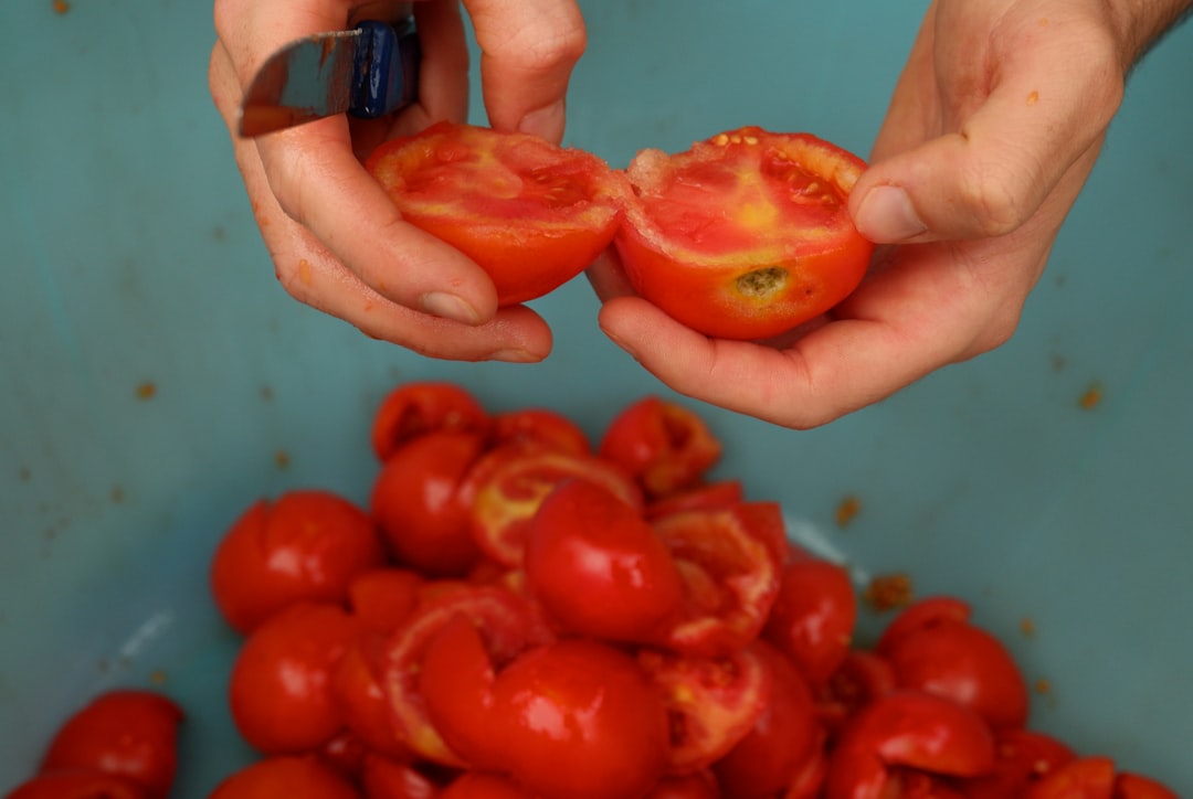 Una famiglia lavora insieme per conservare ingredienti per piatti di pomodoro durante il rituale della passata ad agosto