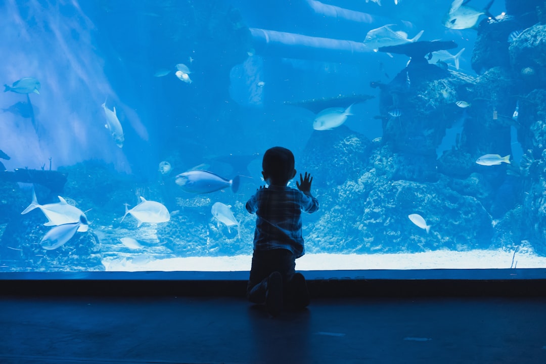 Deux enfants plongent la main dans un bassin tactile dans un aquarium de Tokyo, explorant les créatures marines