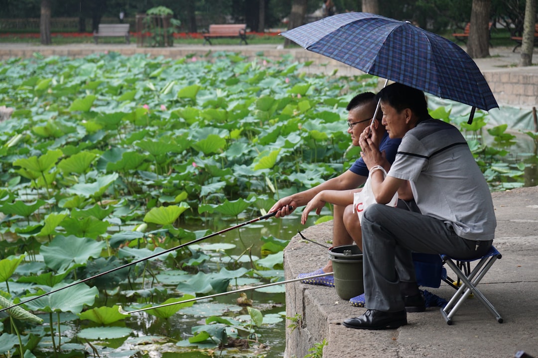 Um casal caminha ao lado do lago de lótus de verão no Parque Ueno, parte do distrito histórico de shitamachi de Tóquio