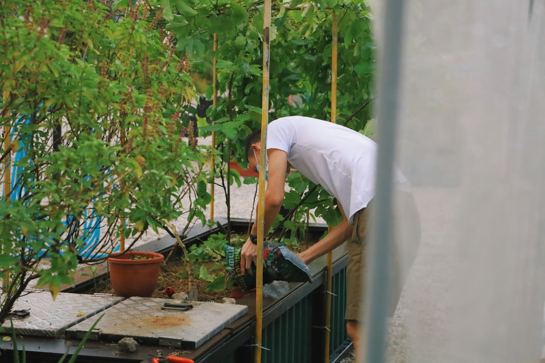 Una persona annaffia piante rampicanti su un balcone di Tokyo, usando una cortina verde naturale per ridurre la bolletta elettrica.