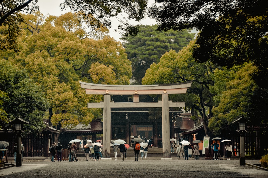 Visitatori che camminano tra file di lanterne chochin luminose in un tempio di Tokyo durante la stagione del festival Obon di Tokyo