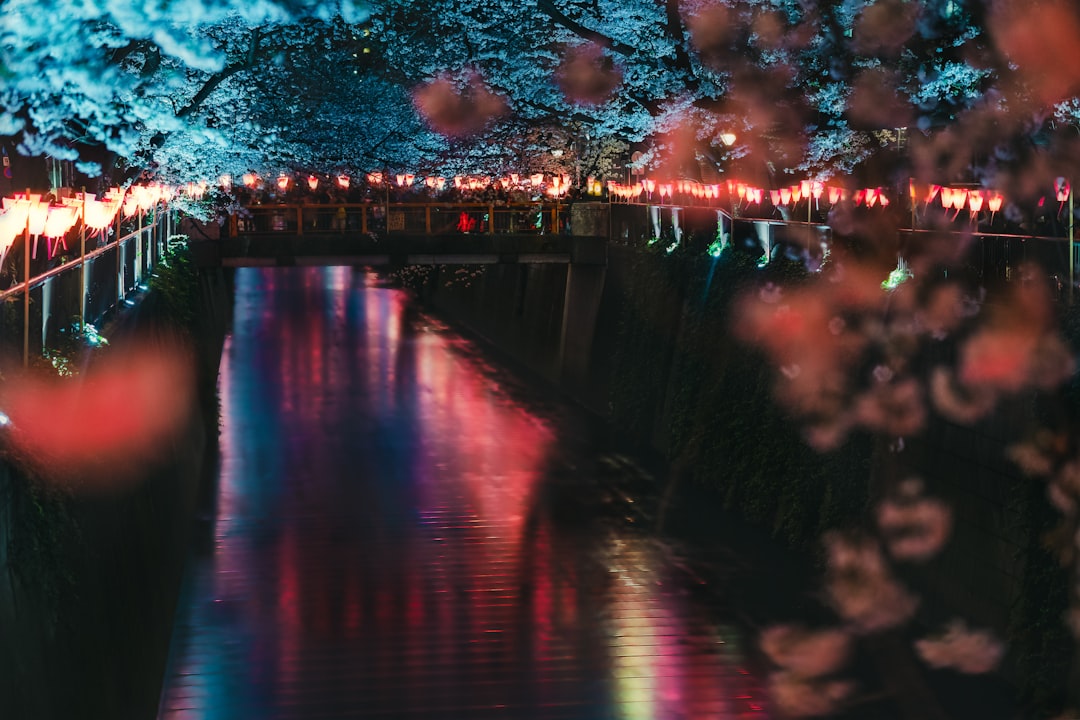 Una persona libera una lanterna di carta luminosa su un fiume durante la cerimonia dell'Obon toro nagashi a Tokyo al tramonto.