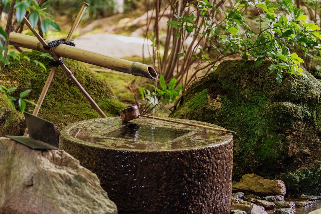 Uma mulher relaxando em um banho mineral cercado por um jardim japonês, a essência do ritual de bem-estar de Tóquio