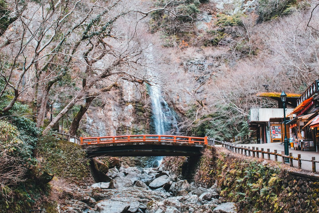 Un visitatore che si trova sulla piattaforma panoramica delle cascate Kegon durante una gita a Nikko da Tokyo.