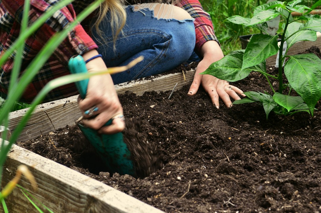 Un jardinier utilise la terre finie d'un programme de compostage communautaire pour entretenir des plantes sur un balcon à Tokyo