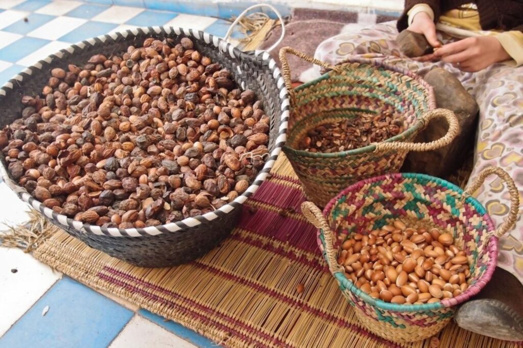 Moroccan argan oil benefits from natural argan nuts and kernels for beauty skincare