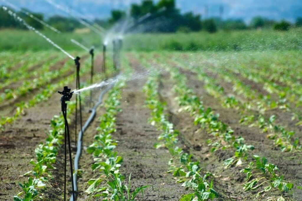 نظام الري بالتنقيط المستدام على الأراضي الزراعية المغربية يدعم استراتيجية الزراعة في الاقتصاد الأخضر
