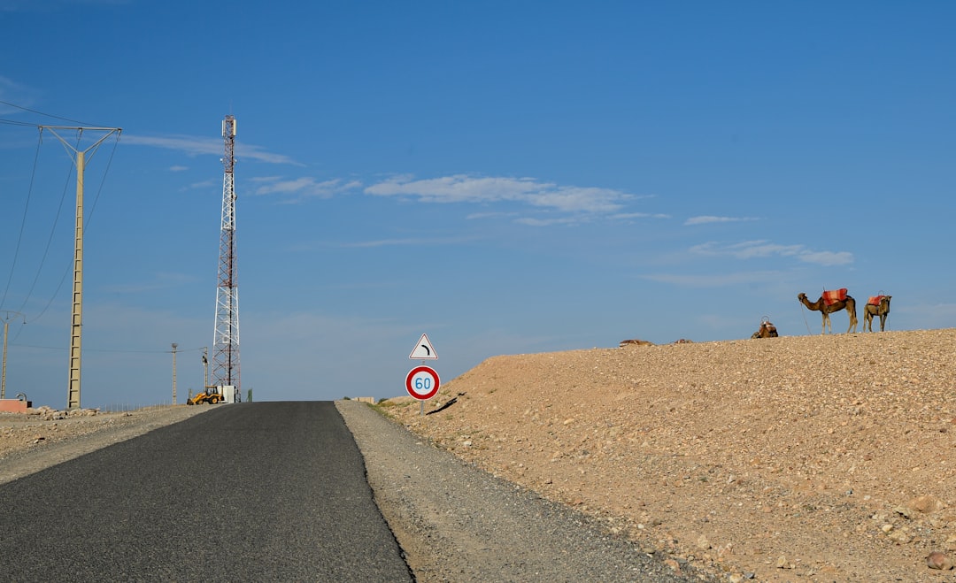 Un técnico realiza mantenimiento en un aerogenerador como parte de la expansión de energías renovables de Marruecos