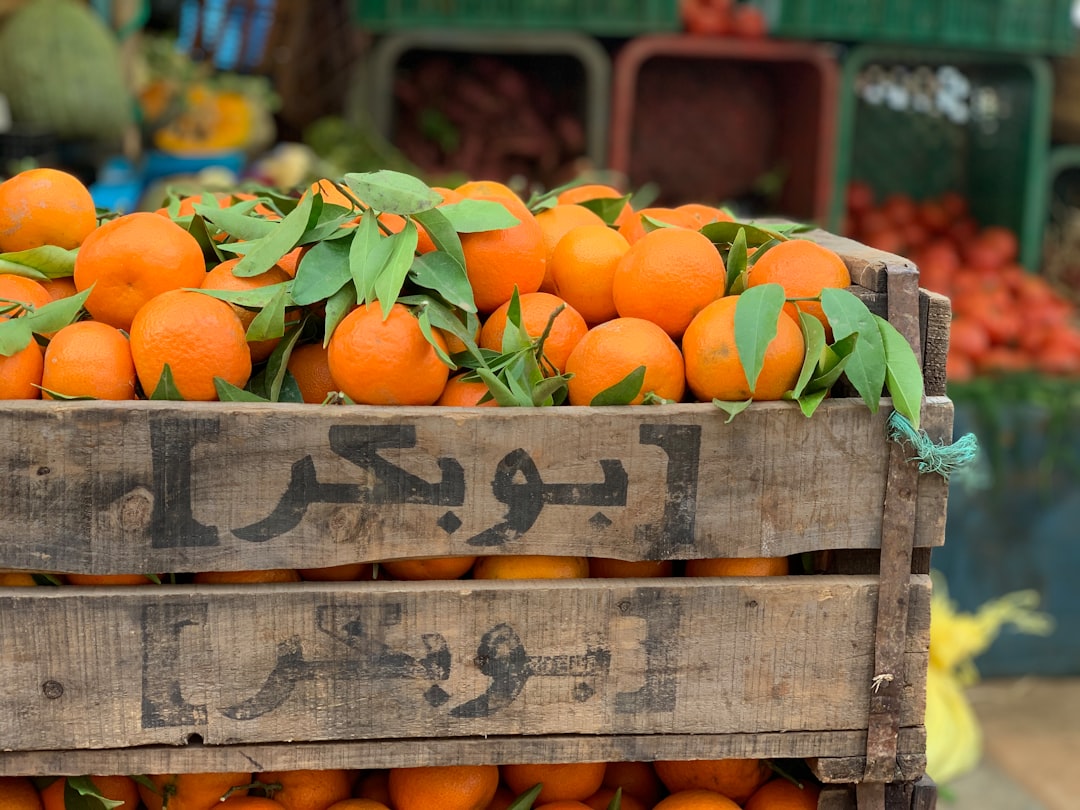 seasonal produce in a packhouse warehouse, preparing shipments that feed into Tanger Med freight demand