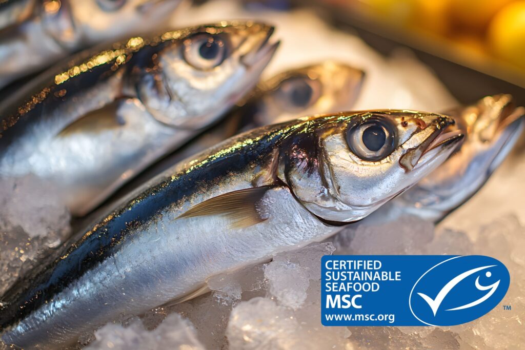 DUBAIwebzine Dubais Seafood Scene Sustainable and Fresh Catches in 2025 1