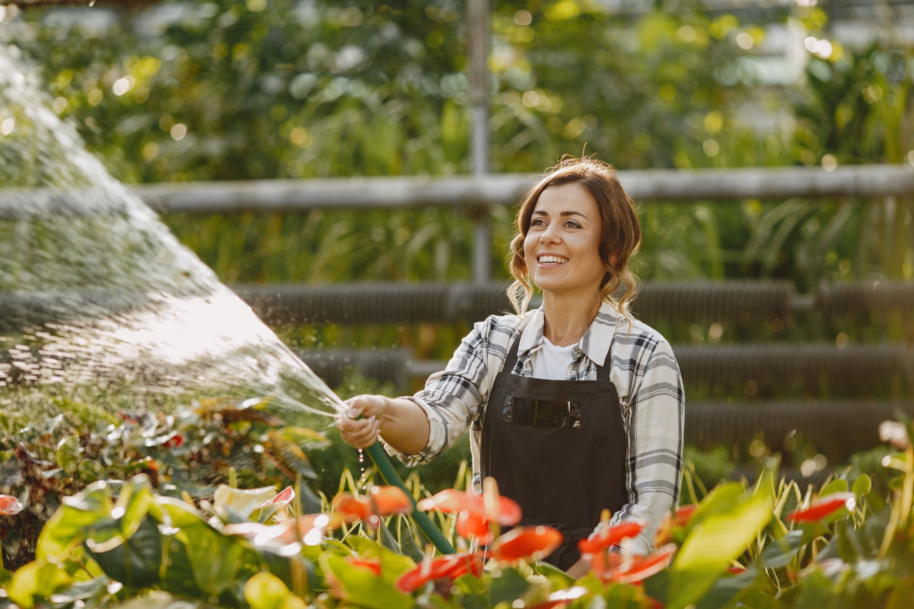 A woman watering drought-resistant garden plants in the early morning to reduce outdoor water use in Dubai