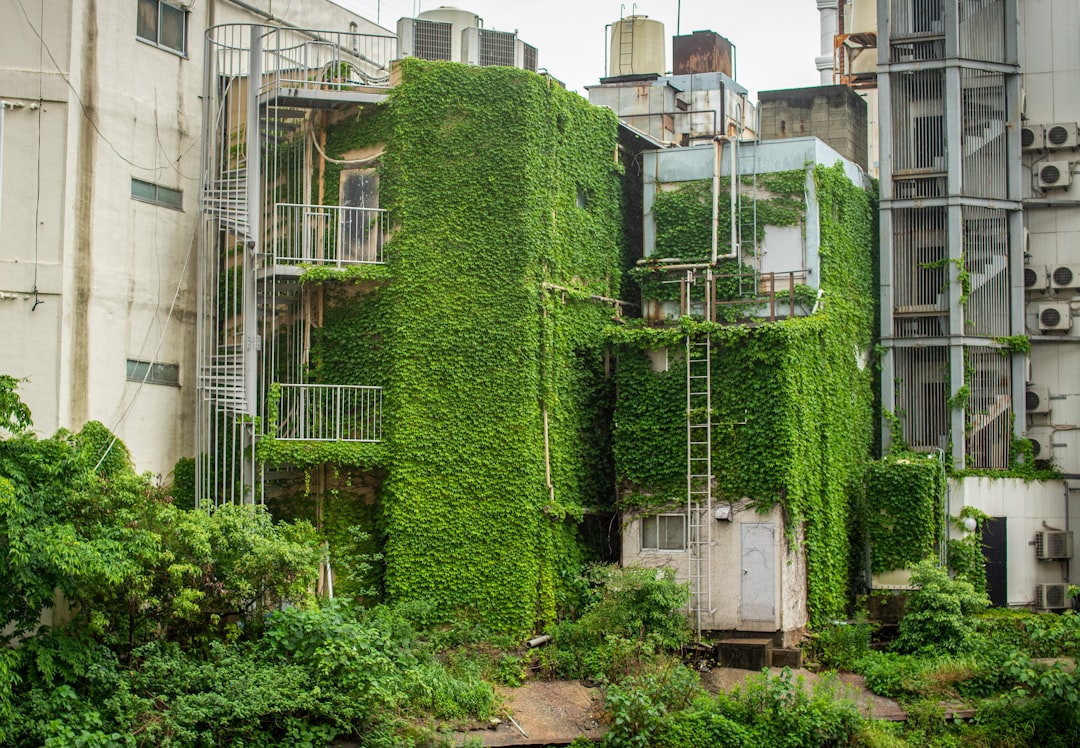 a vertical green wall, one of the key tools architects use to reduce urban heat island temperatures in Singapore