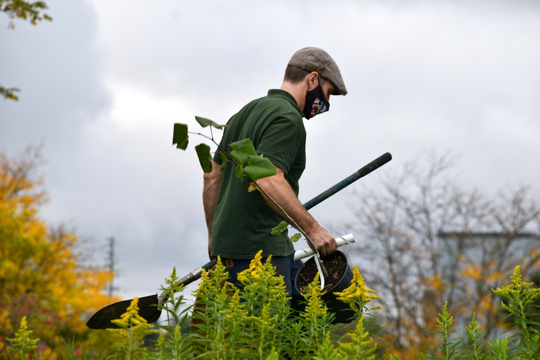A gardener harvests produce at a community allotment open to visitors as part of the open gardens in London