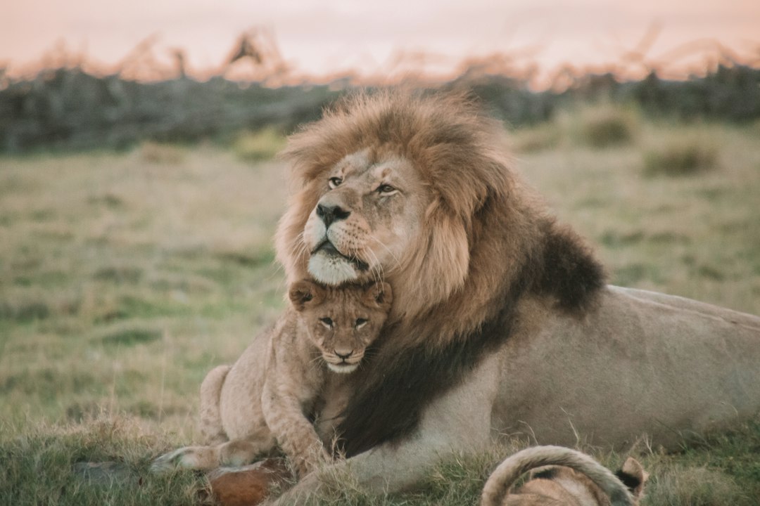 Parent and child exploring half-term trails through the wildlife photography exhibition