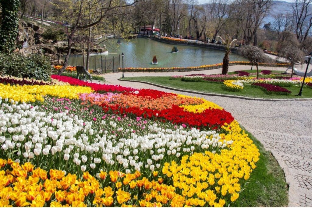 Easter Europe spring tulips in Amsterdam showing seasonal beauty and travel destinations during holidays