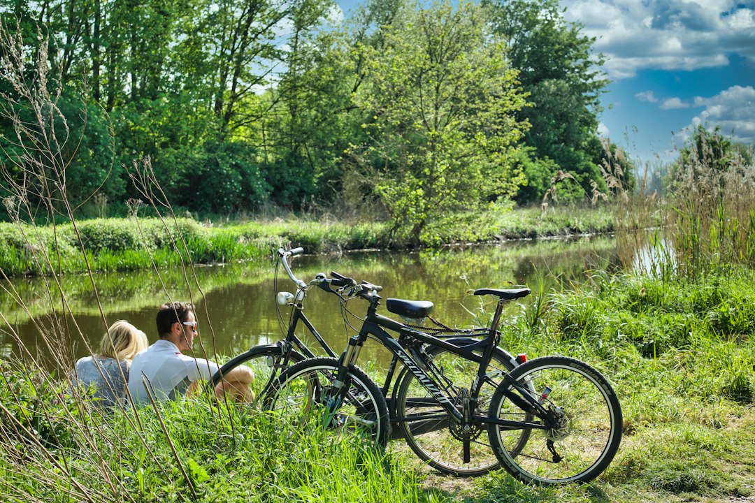 A couple pauses along the Danube cycling routes in the Wachau Valley, surrounded by autumn vineyard terraces during harvest.