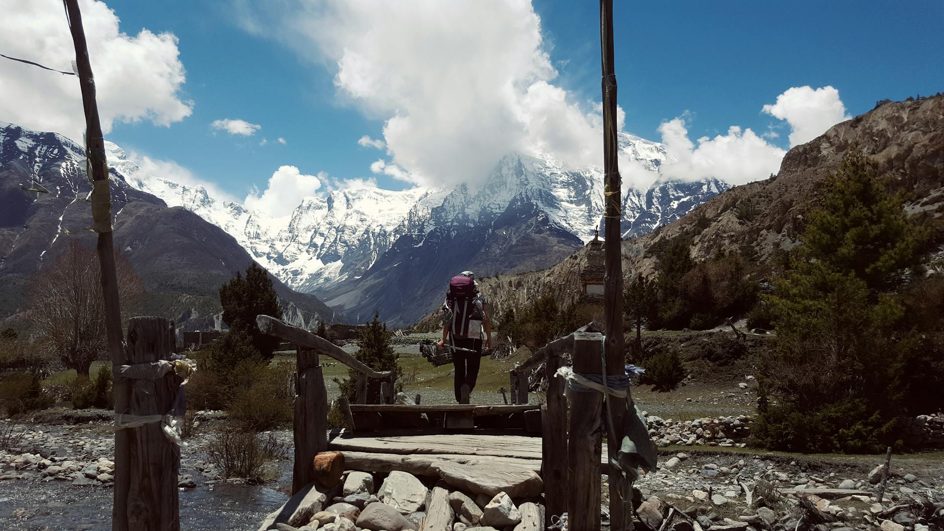 A trekker crossing the Valley of Flowers alpine meadow during India monsoon bloom season